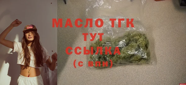 индика Волосово