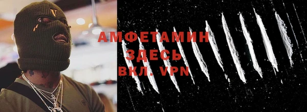 индика Волосово