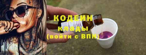 индика Волосово