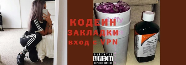 индика Волосово