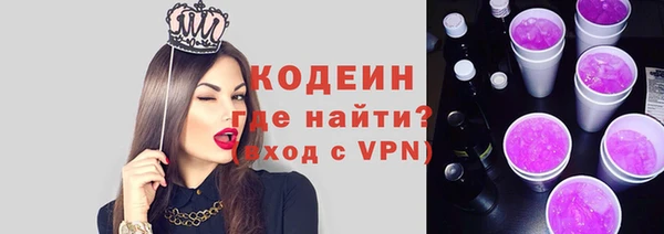 индика Волосово