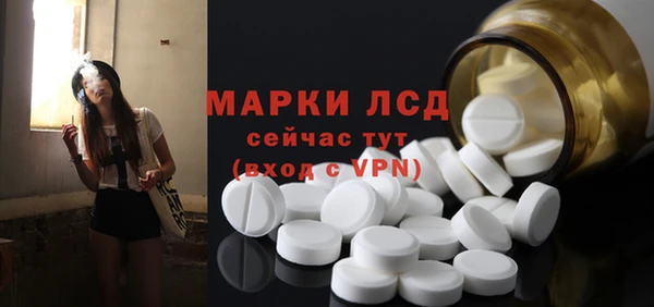 индика Волосово