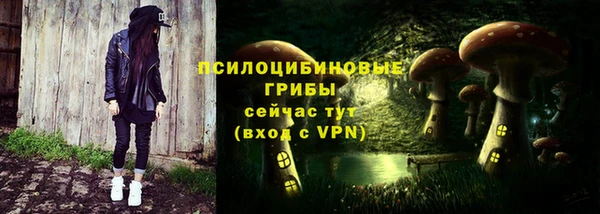 индика Волосово