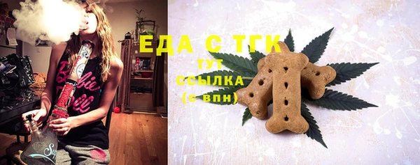 индика Волосово