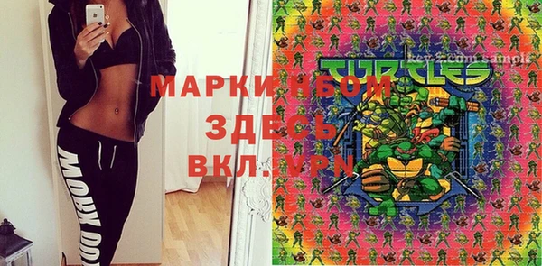 индика Волосово