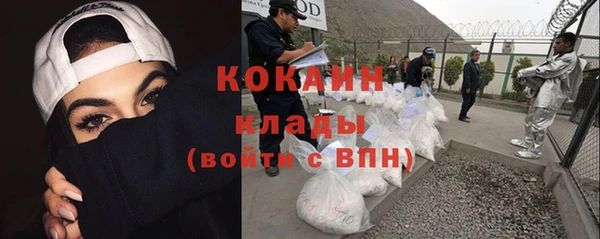индика Волосово