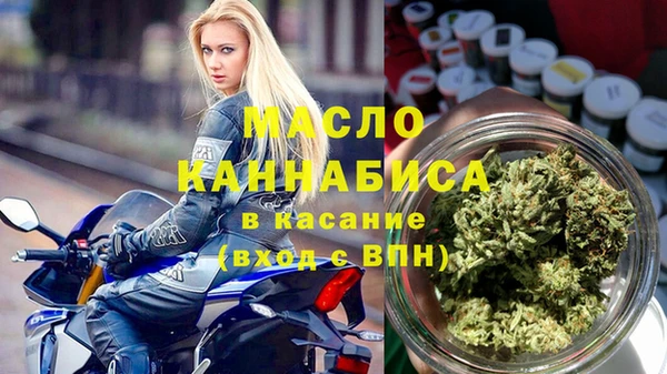 индика Волосово