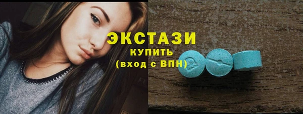 индика Волосово